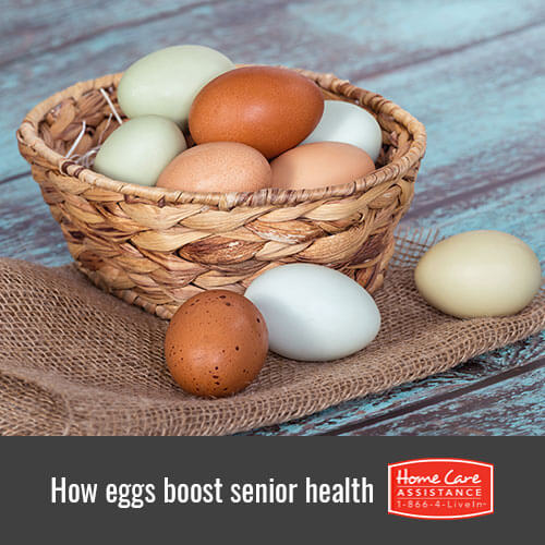 Boosting Senior Health with Eggs in Anchorage, AK