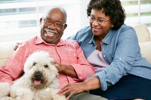 Advantages of Pet Therapy for Older Adults