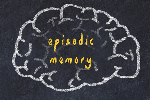 Which Types of Memory Does Alzheimer's Most Commonly Affect in Anchorage, AK